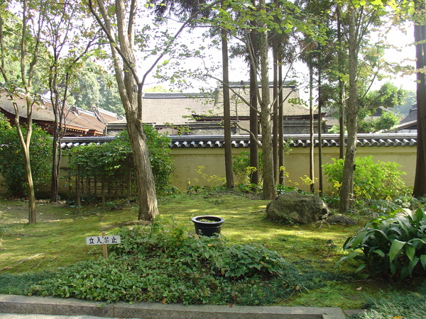 下鴨神社