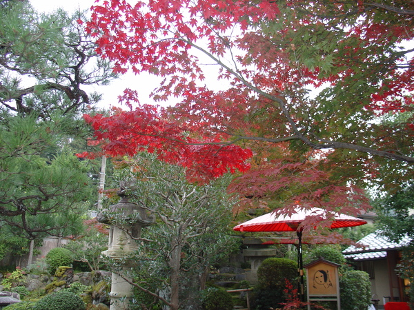 哲學之道~Yojiya銀閣寺店