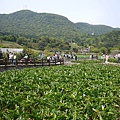 P1080952
