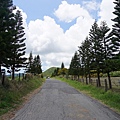 DSC04794.JPG