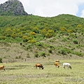DSC04814.JPG