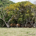 DSC04852.JPG