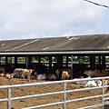 DSC04855.JPG