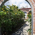 DSC04888.JPG