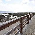 DSC04994.JPG