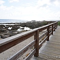 DSC04994.JPG