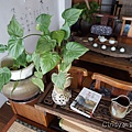 DSC06107.JPG