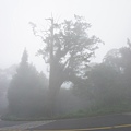 DSC07739.JPG