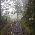 DSC07858.JPG