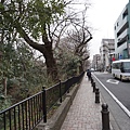 DSC06904 - 複製.JPG