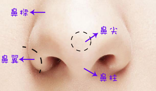 旭彤診所 東區 整形 東區 醫美 旭彤 隆鼻 推薦 微晶瓷 隆鼻 推薦 4D隆鼻 推薦 4D埋線隆鼻 推薦 韓式4D隆鼻 MISKO隆鼻 推薦04