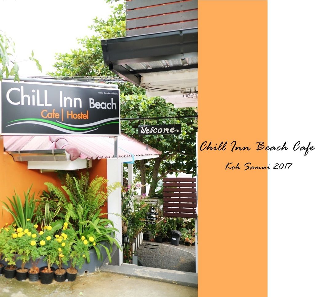chill inn beach cafe chill inn beach cafe