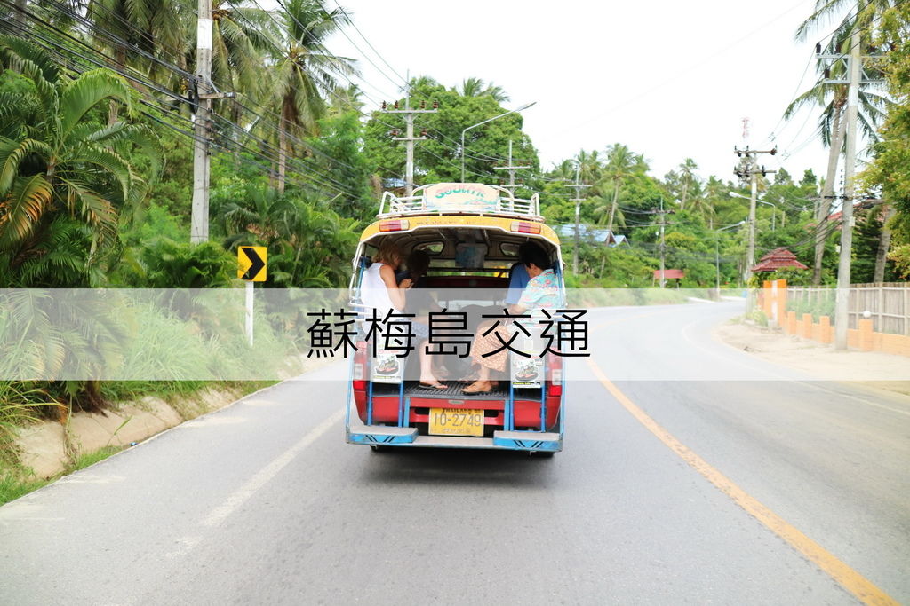 2017蘇梅島 交通 雙條車