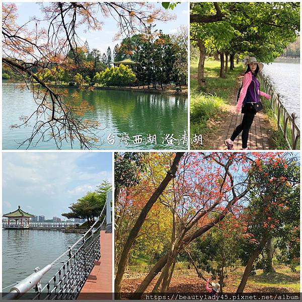 澄清湖,高雄後花園,觀湖步道,幸福玫瑰園,富國島,九曲橋,千樹林,高雄,後花園,步道
