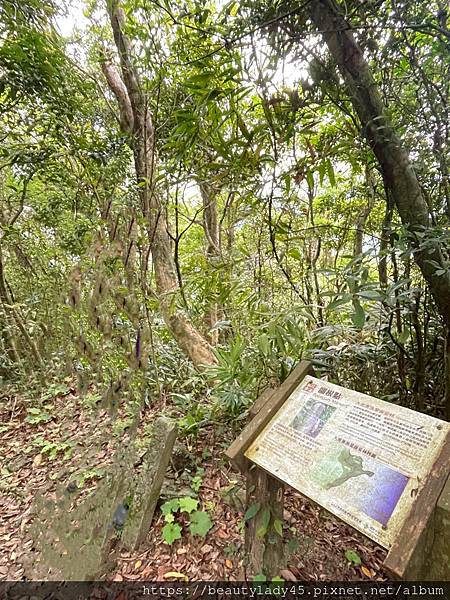 宜蘭南澳鄉。蘇花古道-「大南澳越嶺段」，蘇花公路的前身，步道