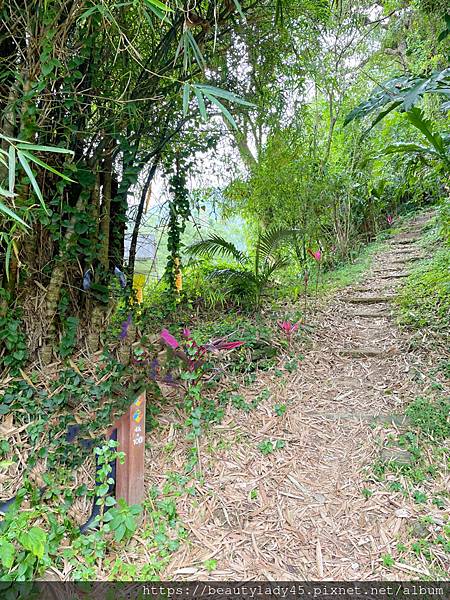 宜蘭南澳鄉。蘇花古道-「大南澳越嶺段」，蘇花公路的前身，步道