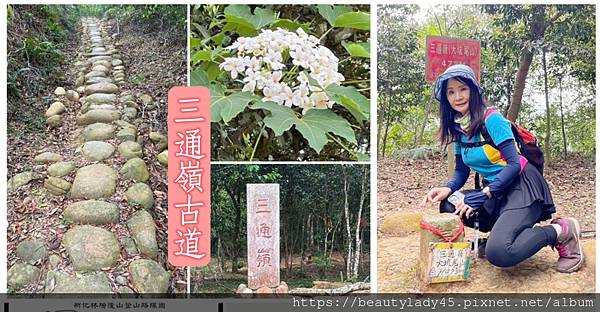 






苗栗三義-通宵。三通嶺古道/挑炭古道+大坑尾山