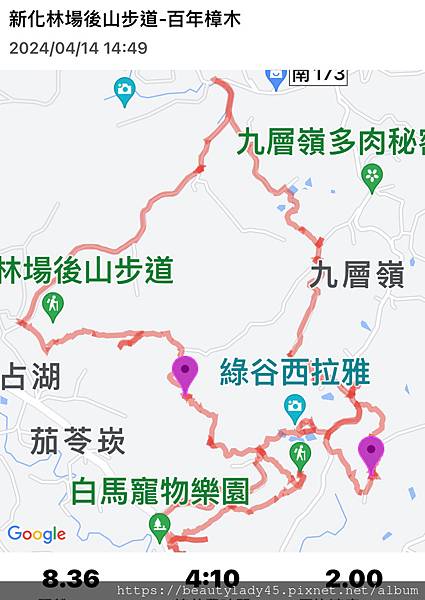 






台南新化區。「新化林場後山步道」/望見後山桃花