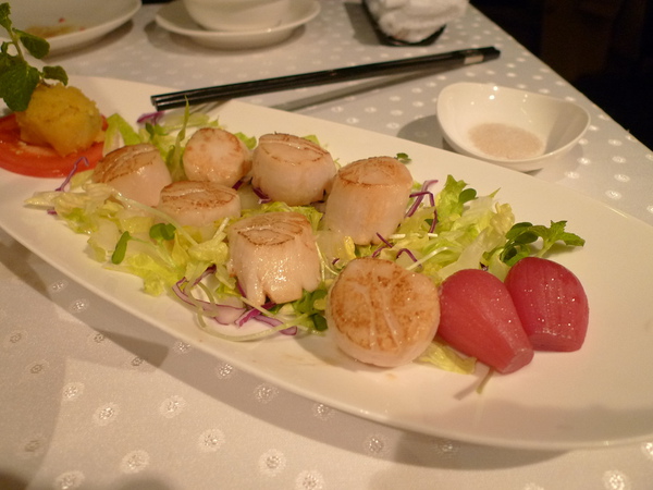 P1050107.縮.JPG