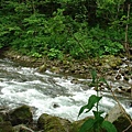 層雲峽溪水.JPG