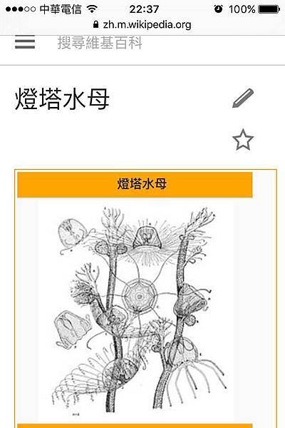 13152760_499249936933713_1761190481_n.jpg 試用