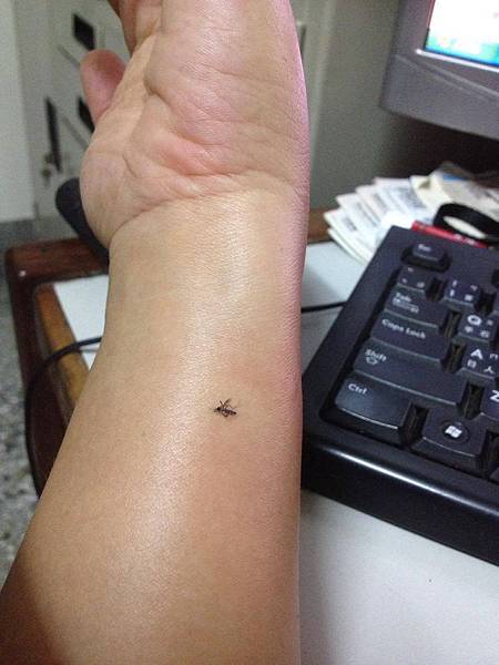 14123588_542805549244818_609289853_o.JPG 試用