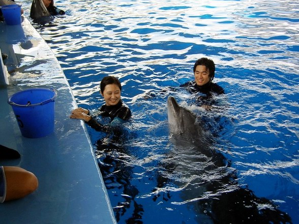 與海豚共游~~