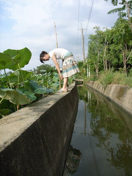 真想踹你