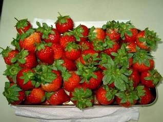 可愛的草莓