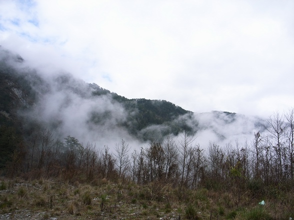 沒幾秒又起霧