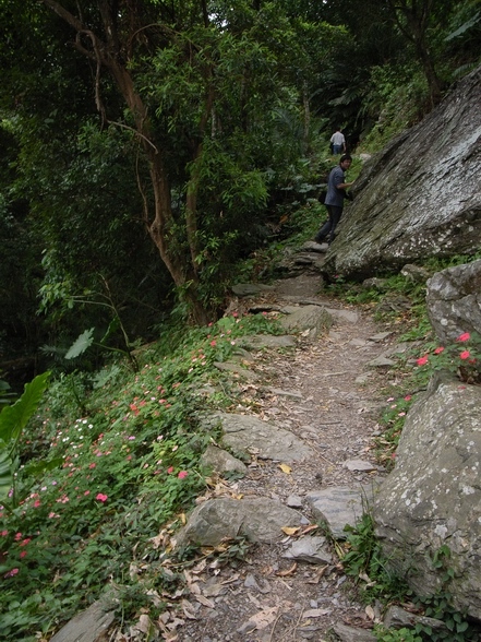 有小花點綴的步道