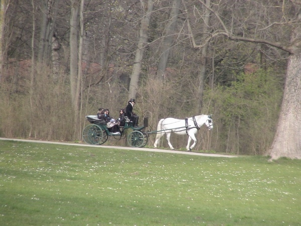 有馬車耶