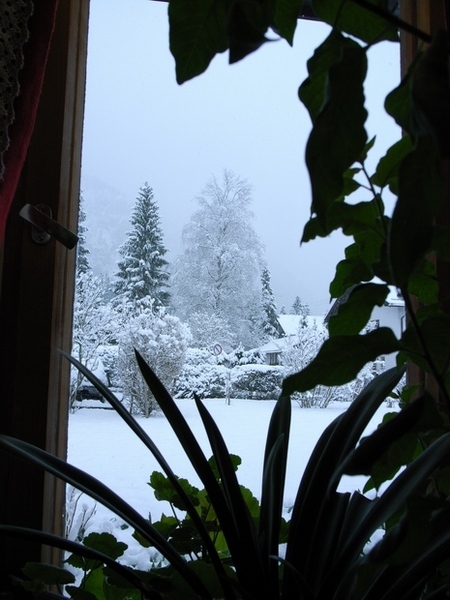 外面還飄著雪