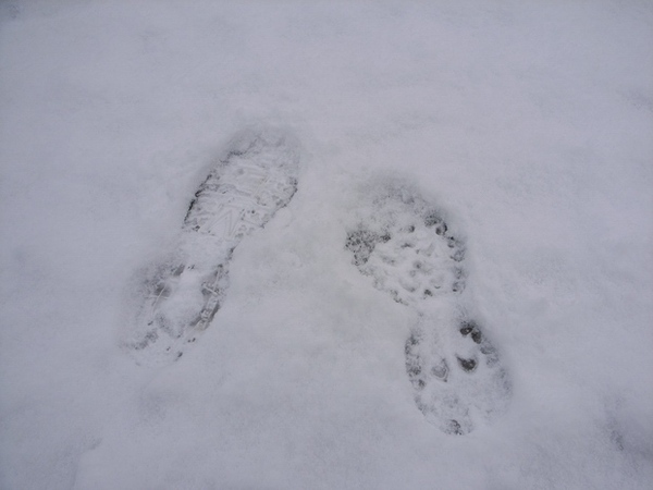 腳印雪地版
