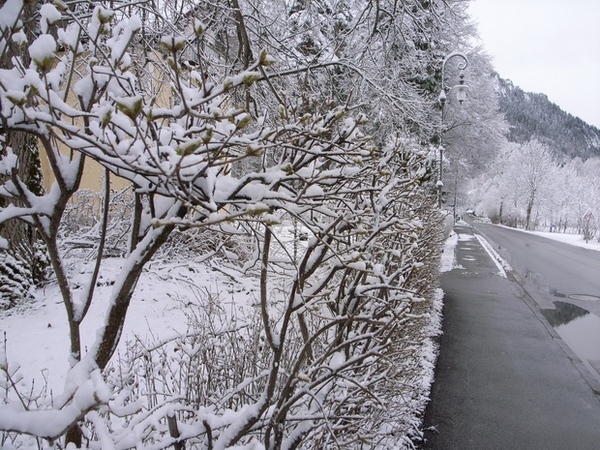 全是雪