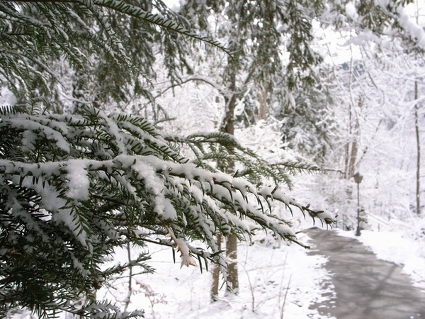 開始要融雪了