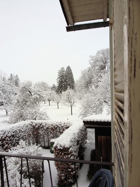 雪白的早晨