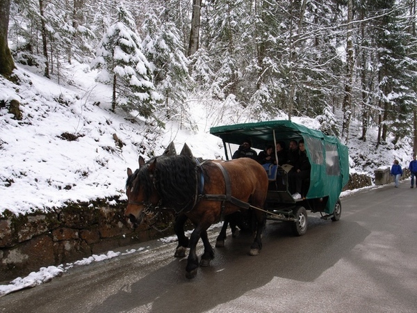 馬車經過