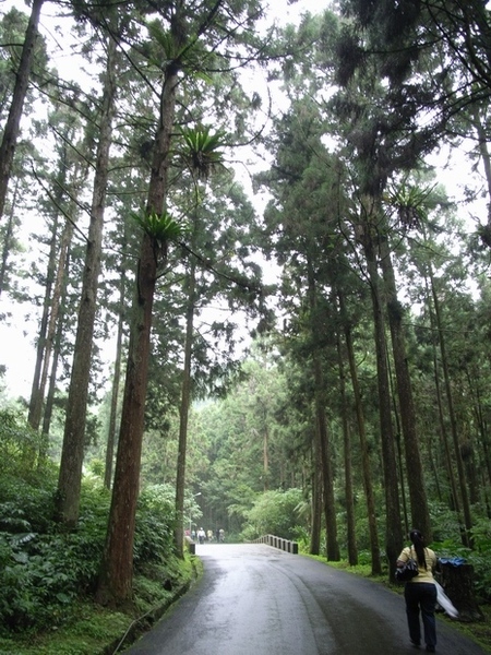 下過雨的空氣特別好