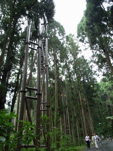 七層樓高耶