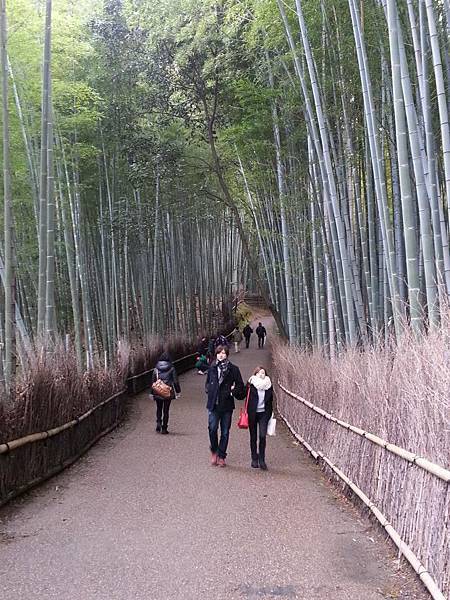 日日更新~京都行~