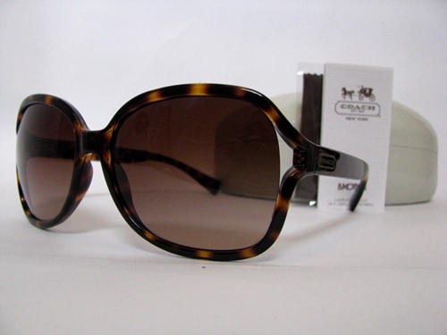 CoachSunglass