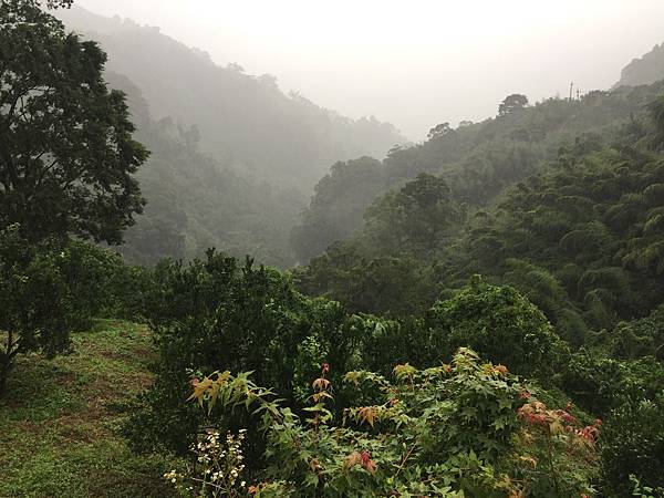 吳老爹 露營區