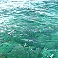 0906.3 Sea.jpg