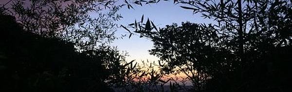 自訂樣式素材 自訂樣式素材