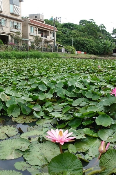 2019.08.26調整過_190826_0018.jpg