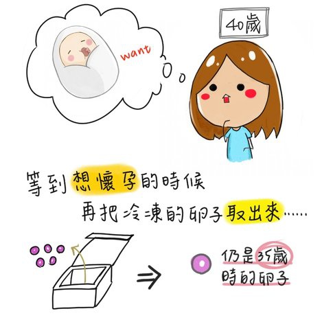秒懂冷凍卵子 貝姬becky 痞客邦 秒懂冷凍卵子 貝姬becky 痞客邦