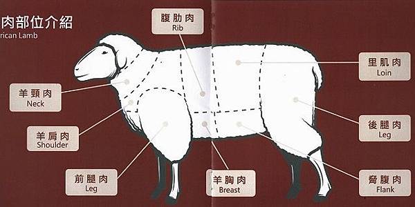 羊肉部位介紹.jpg 羊肉部位介紹.jpg