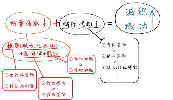 減重流程-final 減重流程-final