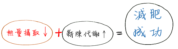 減重流程 減重流程
